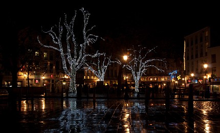DSC_6778