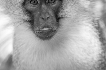 2.Balule Reserve - Naledi Lodge